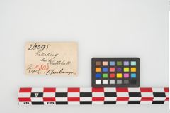 Etikett zu Eisenlanzenspitze (NHMW-PRAE-026095)